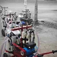 دستگاه شیردوش دو واحدی|ماشینآلات صنعتی|مشهد, میان ولایت|دیوار