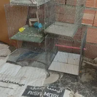۵عدد قفس صحیح و سالم معاوضه با کبوتر هرچی|لوازم جانبی حیوانات|اردبیل, |دیوار