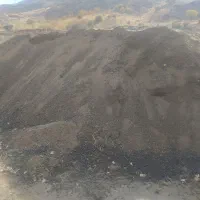 کود حیوانی یک ساله