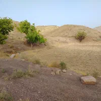 زمین باغی|فروش زمین و ملک کلنگی|نیشابور, مازول|دیوار