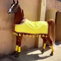 آموزش|خدمات آموزشی|تبریز, |دیوار