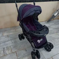 کالسکه|کالسکه و لوازم جانبی|قروه, |دیوار