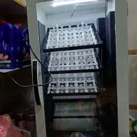 دستگاه جوجه کشی ققنوس ۲۱۰ تایی