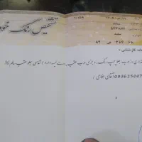 سمند  مدل ۹۸|خودرو سواری و وانت|فردیس, ثابتی|دیوار