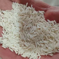 برنج فروشی|خوردنی و آشامیدنی|رضوانشهر, |دیوار