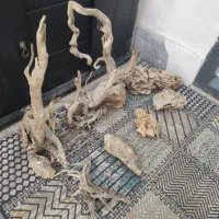 اکواریوم شرکتی دلسا همراه با میز