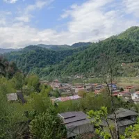 ویلا جنگلی
