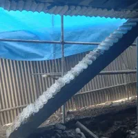 کرگیری (برش بتن) ، کرگیر، کاشت میلگرد و بولت