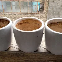 گلدان سرامیکی گلدون|گل مصنوعی|مشهد, کوشش|دیوار