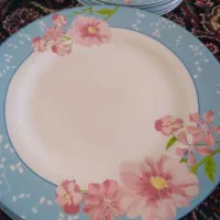 وسایل خونه بفروش میرد|ظروف سرو و پذیرایی|مشگین شهر, |دیوار