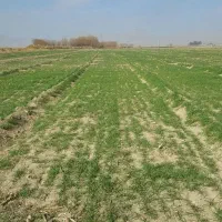 زمین-کشاورزی