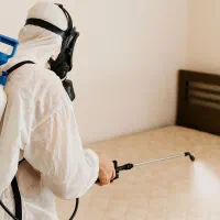 سمپاشی ساس سوسک،کنه کک،موش در تمامی نقاط تهران|خدمات نظافت|ری, شهید غیوری (ابن باویه)|دیوار