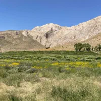 گردشگری|کوهنوردی و کمپینگ|تهران, تهرانپارس شرقی|دیوار