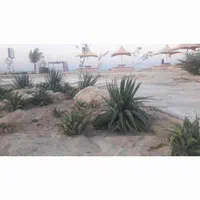 طراحی فضای سبز و خدمات باغبانی