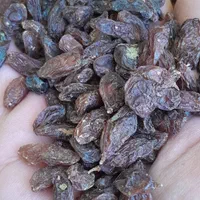 کشمش آفتابی تمیز و شیرین|خوردنی و آشامیدنی|مشهد, کوی المهدی|دیوار