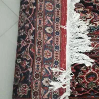 فرش ۱۲ متری دست بافت مشهد|فرش|تهران, یوسف‌آباد|دیوار