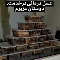 عسل درمانی|خوردنی و آشامیدنی|تیکمه داش, |دیوار
