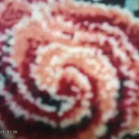 تخلیه چاه رسوب گیری مشاوره باز کردن لوله صددرصد