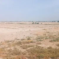 دوازده-هزار-متر-زمین-دیم