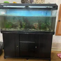 اکواریوم با کمد MDF بفروش میرسد