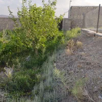 باغچه زیبا بیست دقیقه تا قم برجاده آسفالت|فروش زمین و ملک کلنگی|قم, بنیاد|دیوار