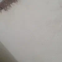 تشک طبی سالم|تشک تختخواب|یاسوج, |دیوار