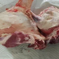 گوشت|خوردنی و آشامیدنی|تربت‌حیدریه, ترمینال|دیوار