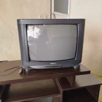 تلویزیون