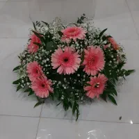 گل طبیعی|گل و گیاه طبیعی|رشت, عینک|دیوار