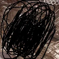 کبوتر رنگی معاوضه با آلمانی