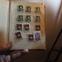 سلام 91یک عدد تمر 7مدل هست قیمت 1ملیون تومان