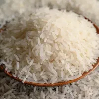 برنج کامفیروزی