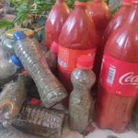 با سلام تعدادی رب گوجه فرنگی و نعنای خشک