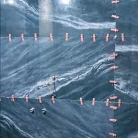 کاشی و سرامیک