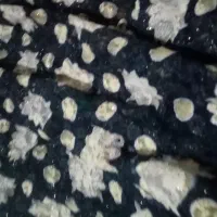 چادر مجلسی|لباس|خاش, |دیوار