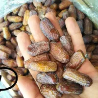 عمده فروشی انواع خرما و رطب|خوردنی و آشامیدنی|شهرکرد, |دیوار