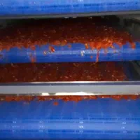 خشک کن میوه و سبزی صنعتی