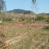 زمیم-مسکونی-300متری-کوهپایه-تاپ-لوکیشن-لاهیجان