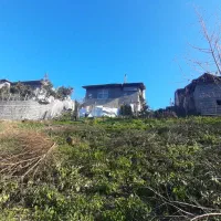 زمین-داخل-بافت