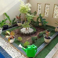 زمین ملک شش دانگ ۲۵۰ متری