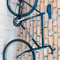 چرخ|دوچرخه، اسکیت، اسکوتر|فریمان, |دیوار