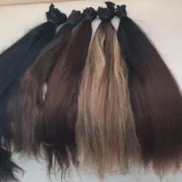 گیس برمیدارم خام و رنگی بالای ۵۰سانت
