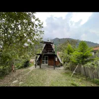 کلبه سوئیسی جنگلی