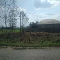 فروش زمین مالوان فومن|فروش زمین و ملک کلنگی|فومن, |دیوار