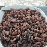 کشمش درجه یک