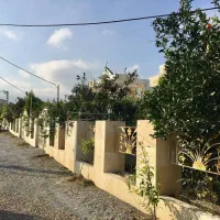 ویلا باغ 450 متری مشجر شهرکی در چلندر سیسنگان|فروش خانه و ویلا|نوشهر, |دیوار