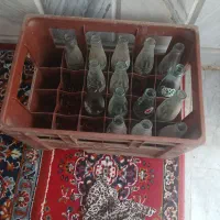 صندوق نوشابه با شیشه|ظروف نگهدارنده، پلاستیکی، یک‌بارمصرف|نیشابور, هفده شهریور|دیوار