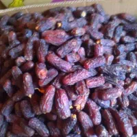 خرما درجه یک|خوردنی و آشامیدنی|اصفهان, مولوی|دیوار