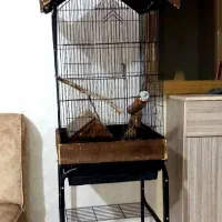 قفس جای پرنده وحیوانات نو نو