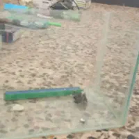 اکواریوم ارزان|ماهی|خرم‌آباد, |دیوار